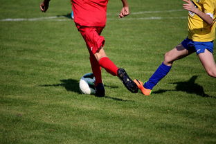 米兰app体育下载-篮球训练计划科学制定及执行效果跟踪,篮球训练计划表