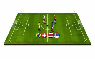 米兰体育官网-青少年体育运动激励机制与持续参与研究,青少年体育运动计划的制定