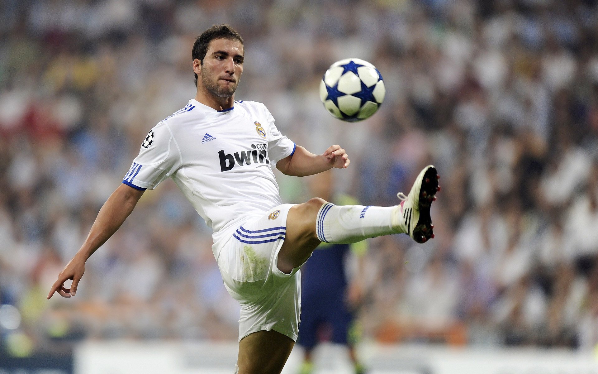 米兰体育平台-中国香港队未来发展战略：从青训到世界顶级球队，香港队伍