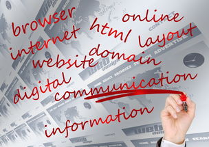 米兰体育app-瑞典队未来:如何建立更具竞争力的国际品牌,瑞典队分析