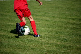 米兰体育官方下载-CBA是否推动裁判培训与国际接轨的认证体系，cba裁判资格